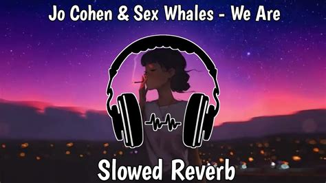 Jo Cohen And Sex Whales We Are [ncs Release] Slowed Reverb Youtube