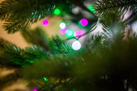 Christmas Tree Lights Bokeh Royalty Free Photo