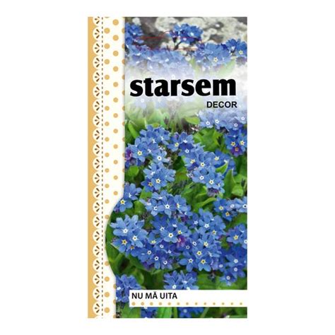 Floare De Nu Ma Uita - Brico Dépôt 