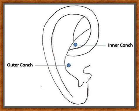 Conch Piercing [50 Ideas] And Complete Guide Rightpiercing