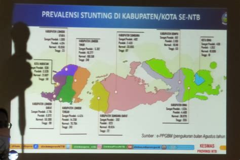 UGM Tingkatkan Kapabilitas Jurnalis Dukung Pencegahan Stunting Di NTB