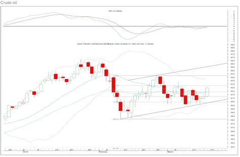 Nymex Crude Oil Bullish Outlook