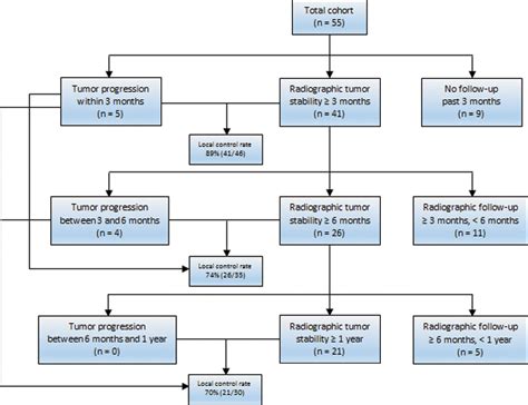 Figure From Radiographic Local Control Of Spinal Metastases With