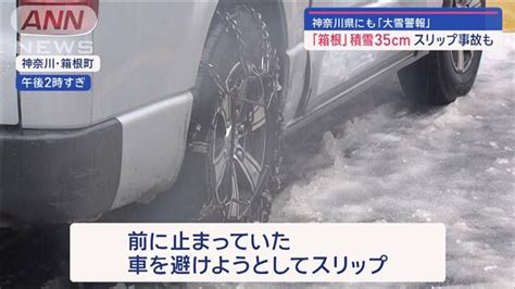 東京に大雪警報20cm超の降雪予想 帰宅ラッシュ直撃 立ち往生も スリップ相次ぐ ライブドアニュース