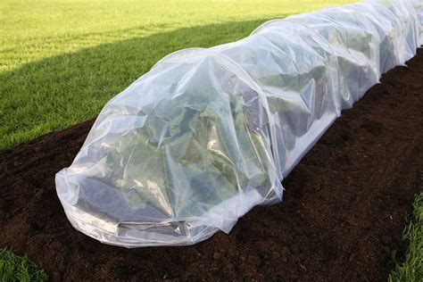 Haxnicks Easy Poly Tunnel Bloomling France