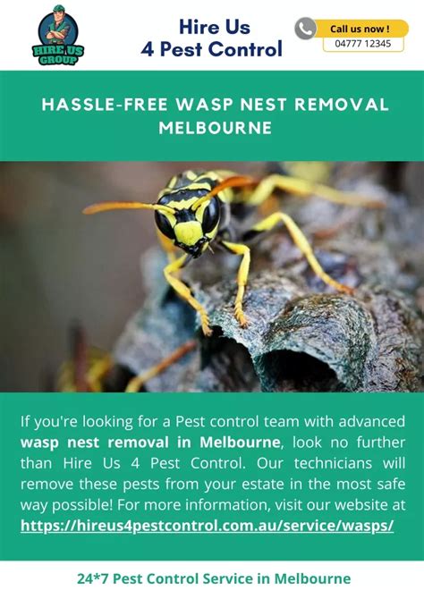 Ppt Hassle Free Wasp Nest Removal Melbourne Powerpoint Presentation Free Download Id 10979620