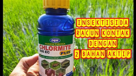 Insektisida Chlormite Ec Plus Insektisida Kontak Dengan Bahan