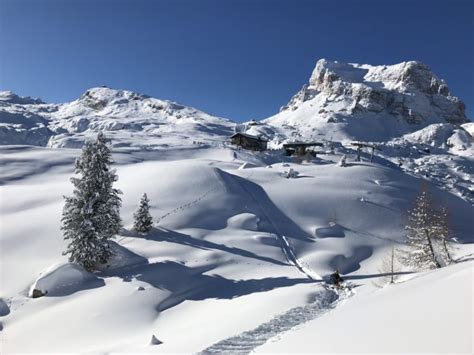 Vacanza A Cortina La Perla Delle Dolomiti Goski