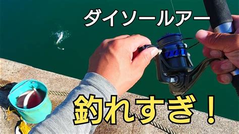 ダイソールアーを投げたら良型のあの魚が釣れ過ぎた前回投稿した動画の続き可愛い珍客も YouTube