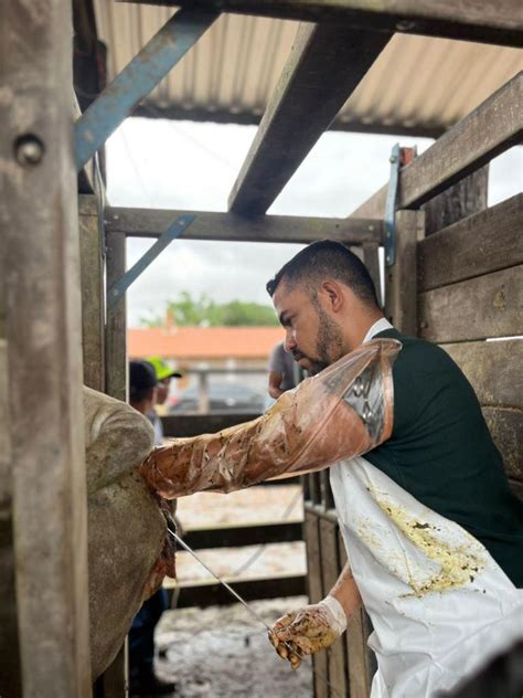 Parceria SENAR Sindicato dos Produtores Rurais de Tailândia e