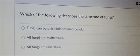 Solved Which of the following describes the structure of | Chegg.com