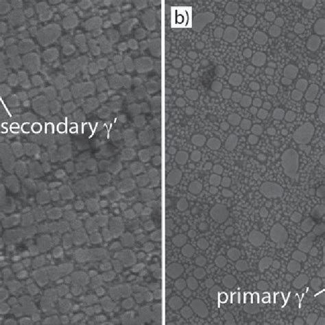 Sem Micrograph Etched Sei γ γ Microstructure After A 1000 H And