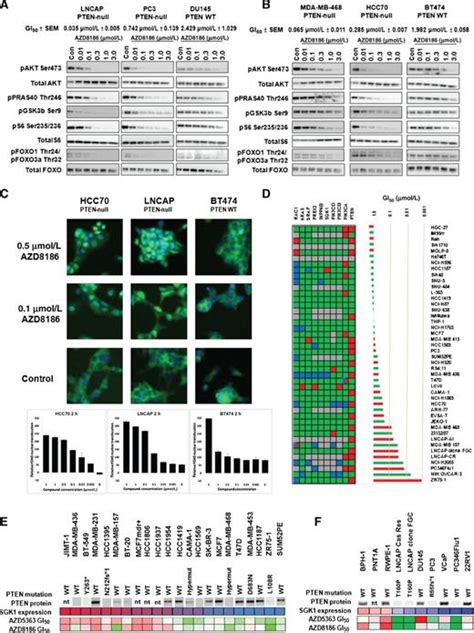 Inhibition Of Pi3kβ Signaling With Azd8186 Inhibits Growth Of Pten