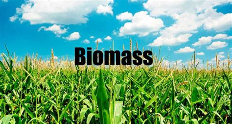 Biomass – Renewable Energy Sources