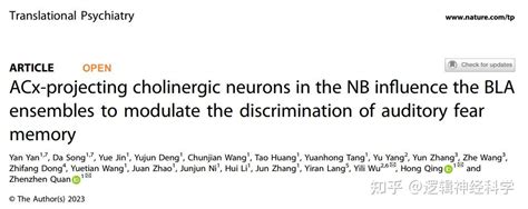 Transl Psychiatry北京理工大学庆宏 全贞贞团队揭示NB ACx BLA神经环路调控听觉恐惧记忆的区分 知乎