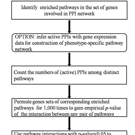 Phenotype Angiogenesis Specific Pathway Network And Characteristic