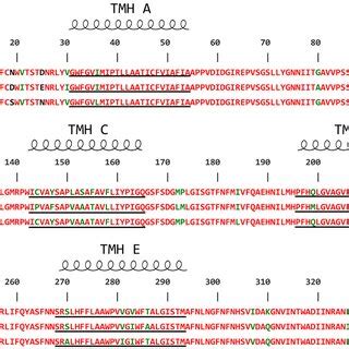 Amino Acid Sequence Alignment Of The Three PsbA Proteins From T