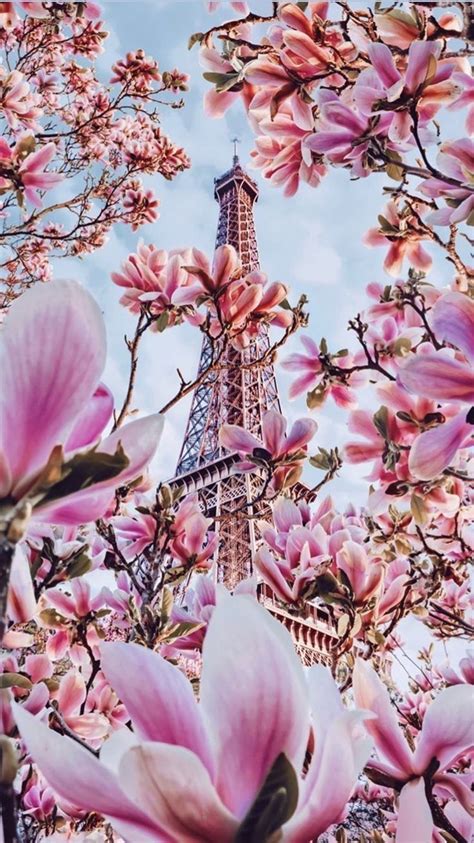 Pin By Dalete Crepaldi On Wallpapers Paris Wallpaper Pretty