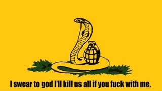 This Is Like The Don T Step On Me Snake Flag But Better Fuck Around And Find Out Ifunny