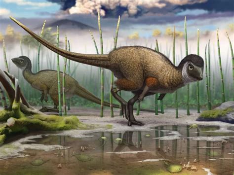 4 razões pelas quais os dinossauros nunca governaram a Terra