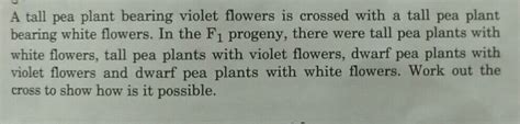 A Tall Pea Plant Bearing Violet Flowers Is Crossed With A Tall Pea