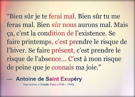 Antoine De Saint Exup Ry Sept Lettres Natalie Paley