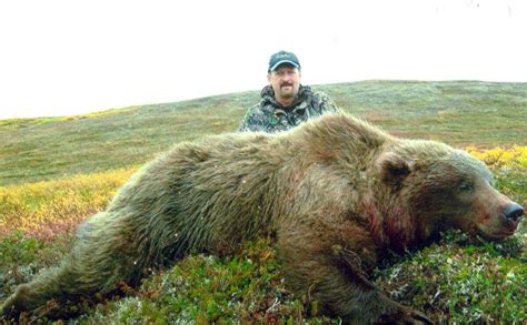 Alaska Brown/Grizzly Bear Hunting Guide