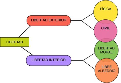 31 Mapa Conceptual Ejemplos Png Rime Images