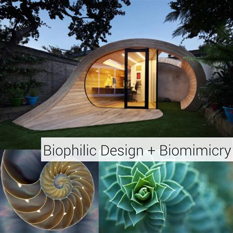 Biophilic Design Biomimicry In Modern Architecture