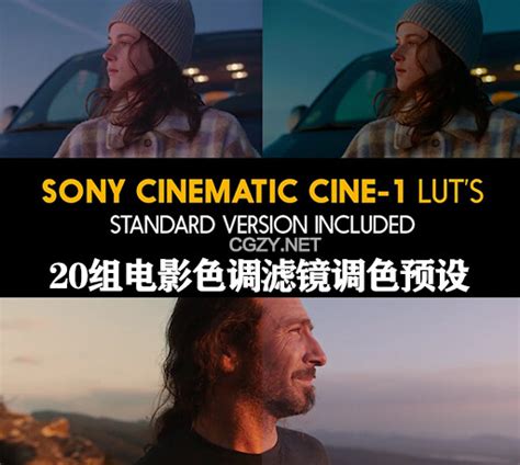 LUTs预设|20组电影色调滤镜调色预设 Sony Cinematic Cine-1 and Standard Luts - CG资源网 