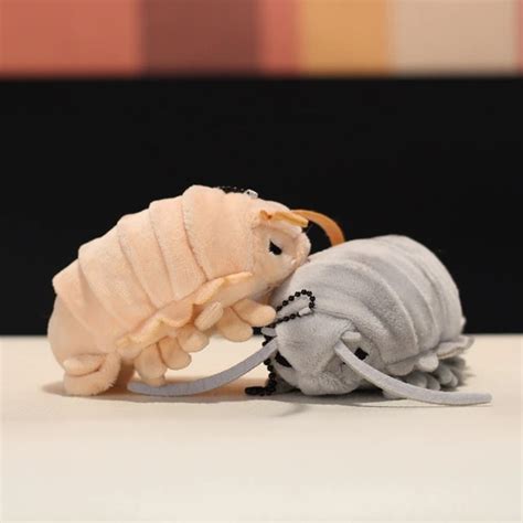 Giant Isopod Plush Prices | www.pinnaxis.com