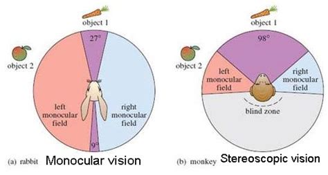 Science Form 2