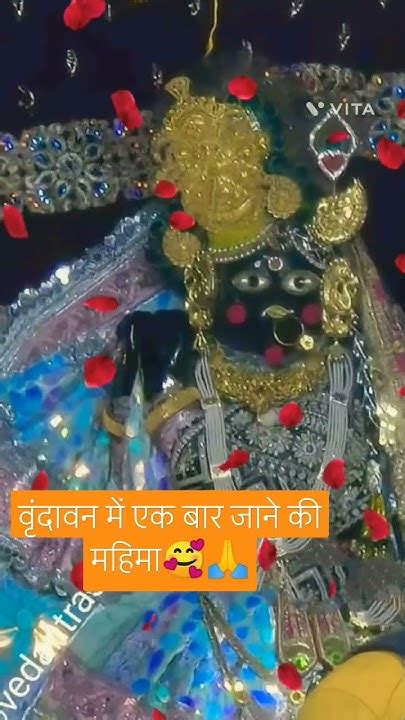 वृंदावन में एक बार जाने कि महिमा जानकर चौक जायेगे आप 🙏🥰 जय हो वृन्दावन