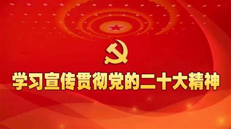 深学笃行悟精神 砥砺奋进谱新篇——市商务局传达学习贯彻党的二十大精神