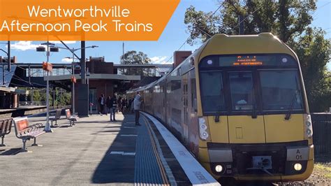 Nsw Trains Vlog Wentworthville Afternoon Peak Trains Youtube