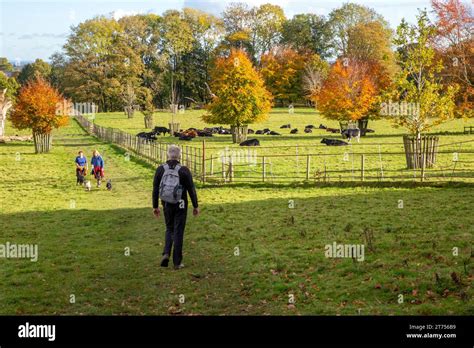 People Walking Through The Grounds And Parkland Of The National Trust