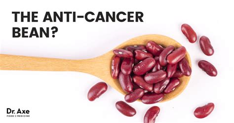 Kidney Beans Nutrition, Benefits, Side Effects and Recipes - Dr. Axd