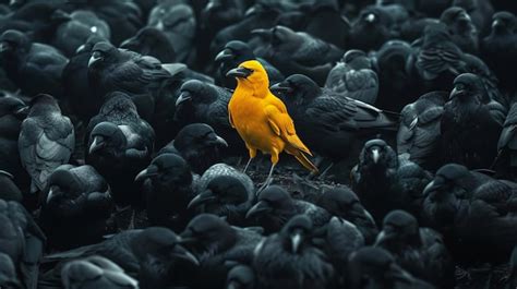 Premium Photo A Yellow Crow Alone Among A Crowd Of Black Crows