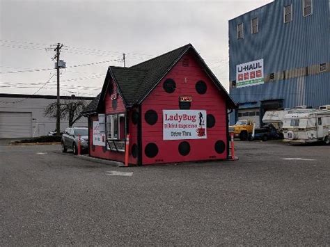 Lady Bug Bikini Espresso In Tacoma Restaurant Reviews
