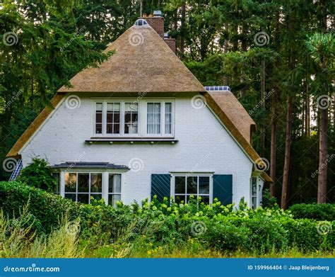 Typical Dutch House in a Forest with a Classical Thatched Roof, Rural ...