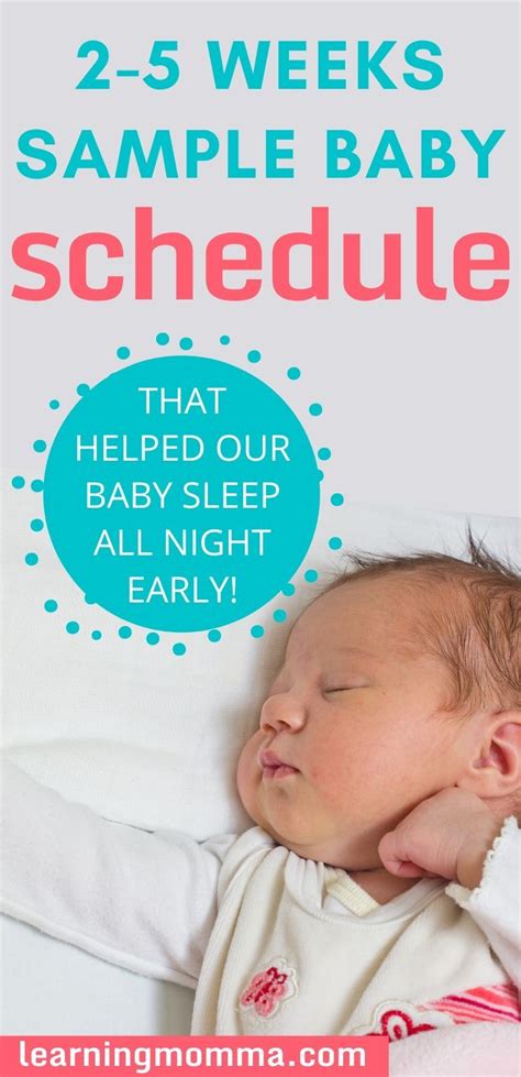 Sample Newborn Schedule 2 Week Old To 5 Week Old Schedule Artofit