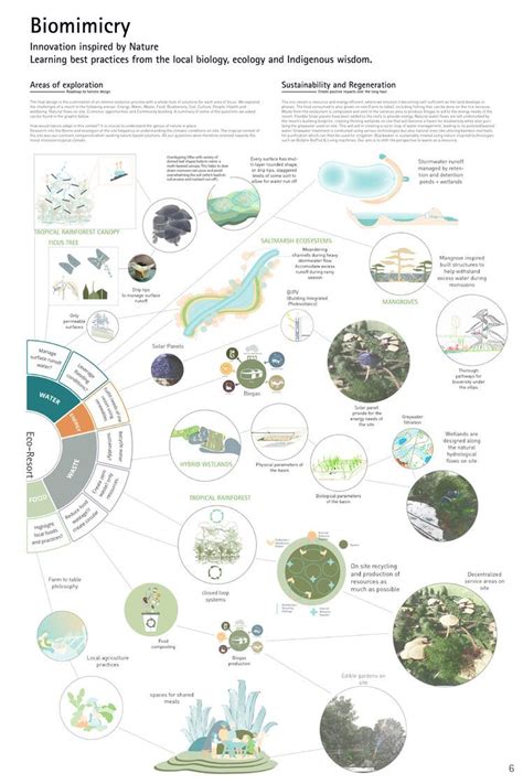 Riverine Eco Retreat Concept Art Project Architecture Concept