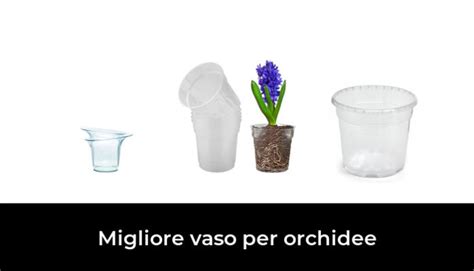 43 Migliore Vaso Per Orchidee Nel 2024 Secondo Gli Esperti