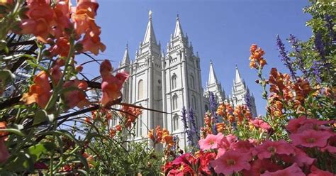Mormons Back US Gay Marriage Measure The Senior Senior