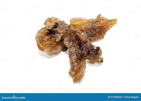 Pieces Of Gum Arabic Gum Acacia Gum Sudani Senegal Gum Tree Gum Of