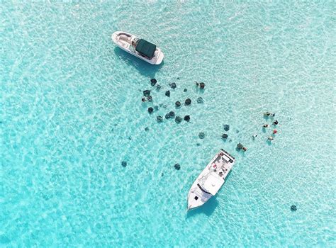 Best Stingray City Tours - Cayman Islands Boat Charters