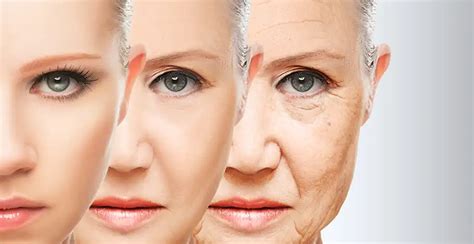 Essential Anti Aging Ingredients For Skin Health Must Try