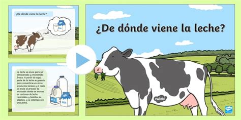 Powerpoint ¿de Dónde Viene La Leche Twinkl