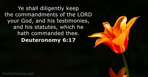 October 18 2022 Bible Verse Of The Day Kjv Deuteronomy 617