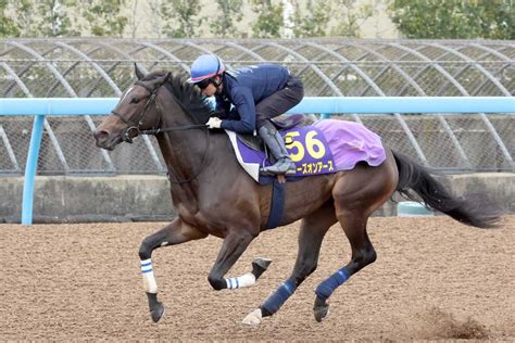 【大阪杯】1週前追い スターズオンアースが僚馬2頭を置き去り サンスポzbat